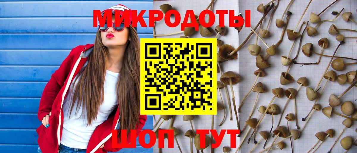 Галлюциногенные грибы мицелий Лиски