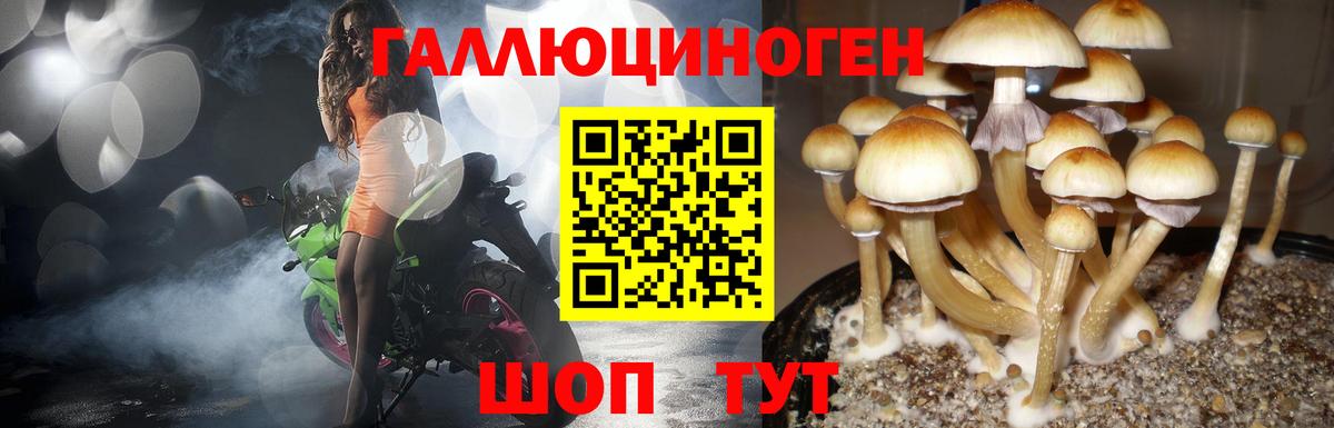 Лиски  Псилоцибиновые грибы Psilocybine cubensis  Вход с VPN  Псилоцибиновые грибы Magic Shrooms 